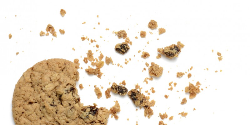 What Lies Beneath: Four Things That May Be Living In Your Carpet